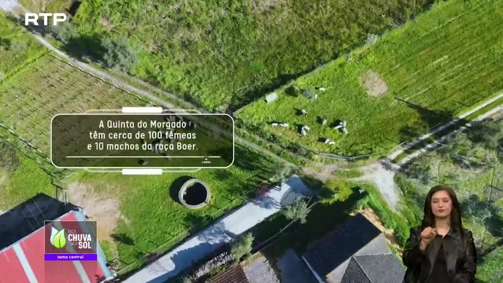 Imagem de Faça Chuva Faça Sol