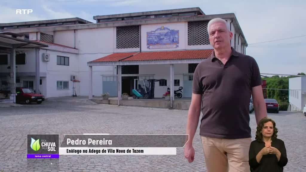 Imagem de Faça Chuva Faça Sol
