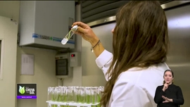 Imagem de Fa�a Chuva Fa�a Sol