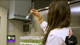 Imagem de Fa�a Chuva Fa�a Sol