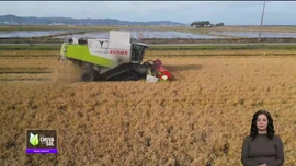 Imagem de Fa�a Chuva Fa�a Sol