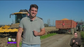 Imagem de Fa�a Chuva Fa�a Sol