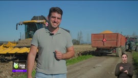 Imagem de Fa�a Chuva Fa�a Sol