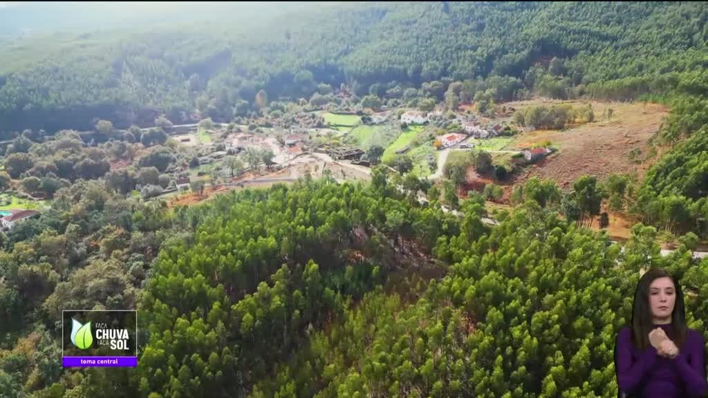 Imagem de Faça Chuva Faça Sol
