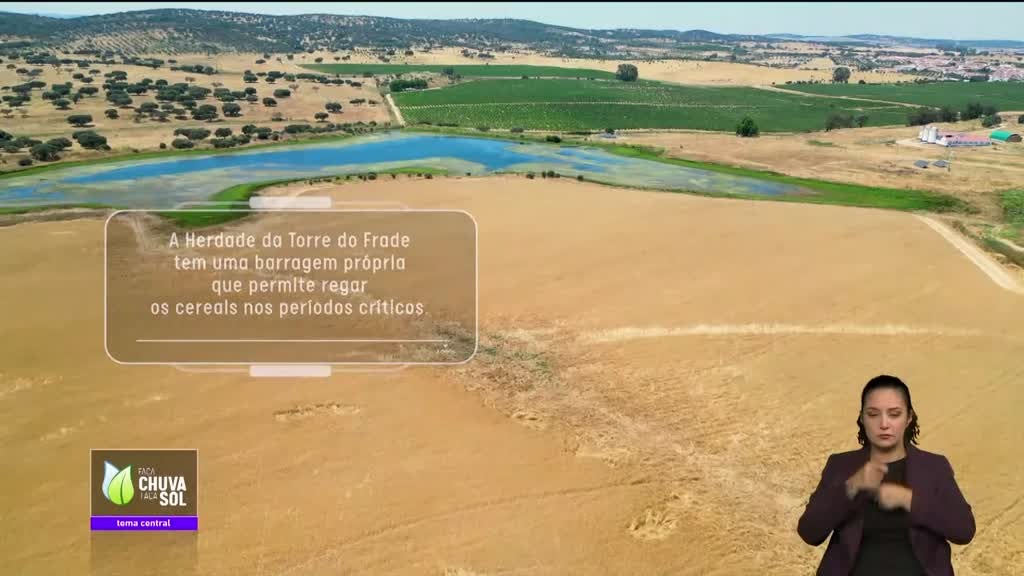 Imagem de Faça Chuva Faça Sol