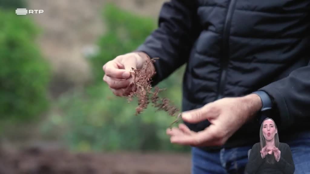 Imagem de Biosfera - Produzir a Regenerar