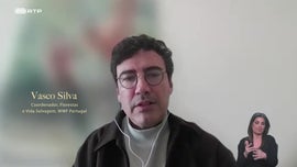 Imagem de Megainc�ndios, Uma Nova Era do Fogo