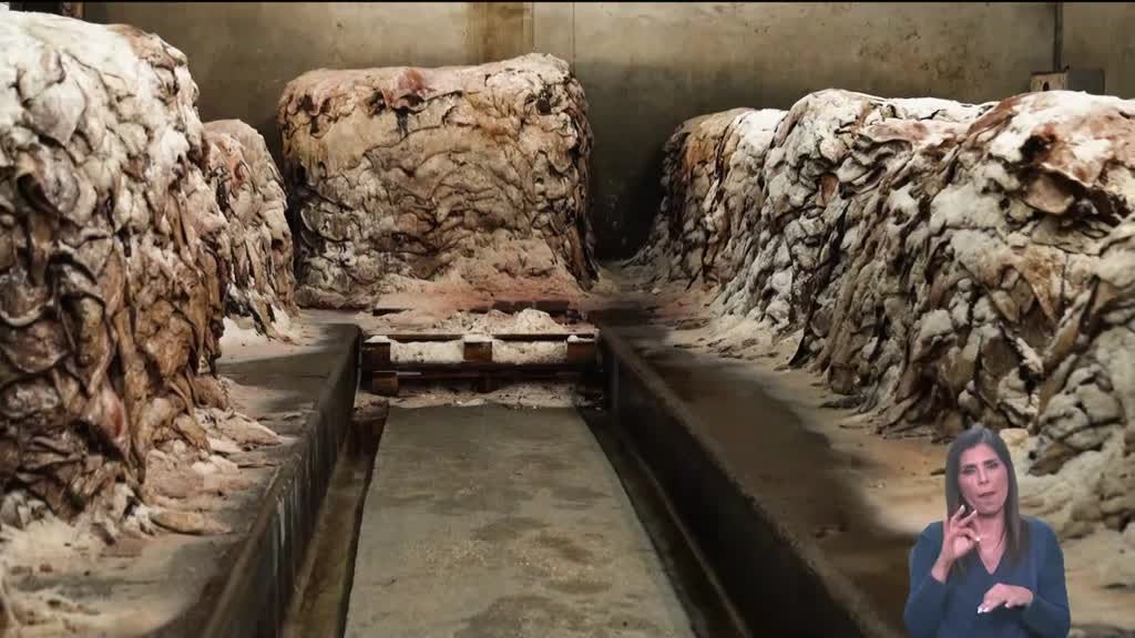 Imagem de Biosfera - Pele Animal