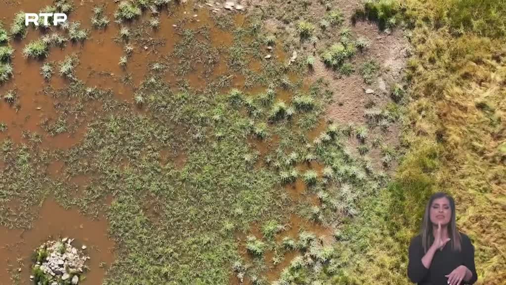 Imagem de Biosfera - Vamos ao Charco!