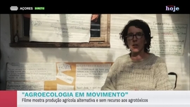 Imagem de Apresenta��o | Vera Santos