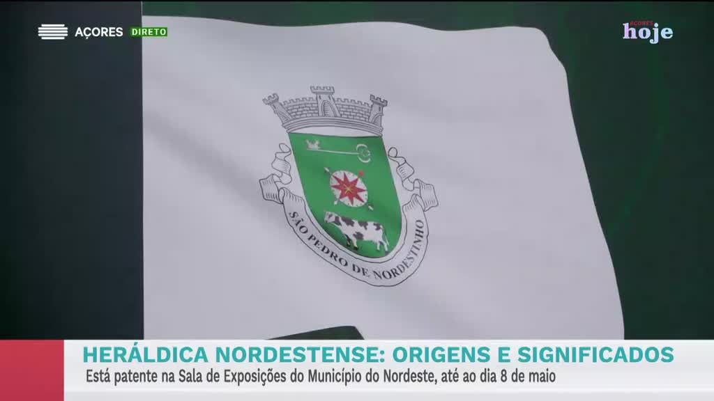 Imagem de Açores Hoje - Apresentação | Solange Vieira