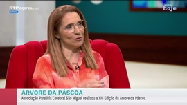 Imagem de Apresenta��o | Solange Vieira