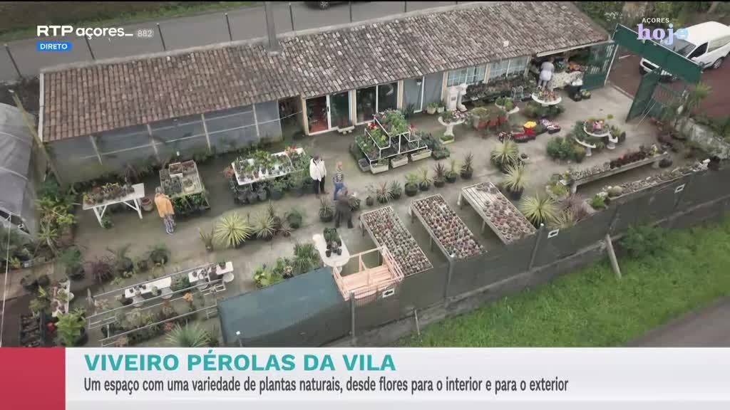 Imagem de Açores Hoje