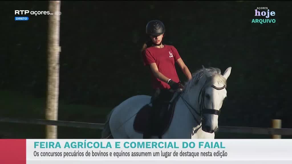 Imagem de Açores Hoje - Apresentação | Solange Vieira
