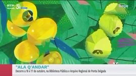 Imagem de Apresenta��o | Solange Vieira