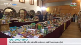 Imagem de Apresenta��o | Solange Vieira
