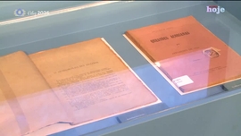 Imagem de Apresenta��o  | Vera Santos