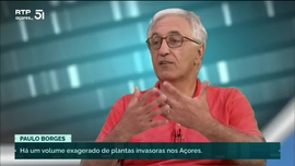 Imagem de Paulo Borges | Especialista em insetos