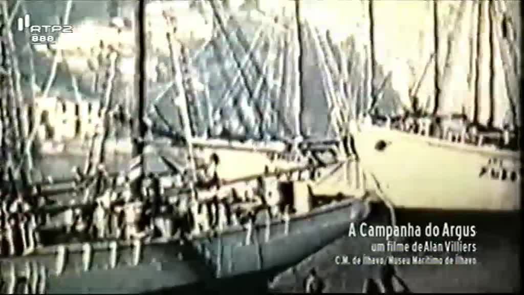 Imagem do Programa / Episiódio - Visita Guiada - Museu Marítimo de Ílhavo