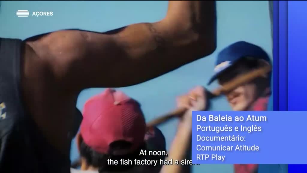 Imagem de 1ª Fila - Com Graça Moniz