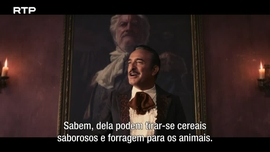 Imagem de Zorro
