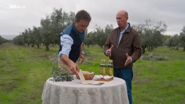 Imagem de Produtor de Azeite & Locutor de Dobragens