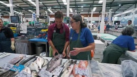 Imagem de Peixeiro & Decorador