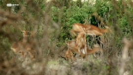 Imagem de Os Bons, os Maus e os Vil�es