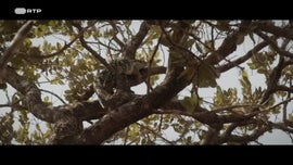 Imagem de O Inimigo N�mero Um