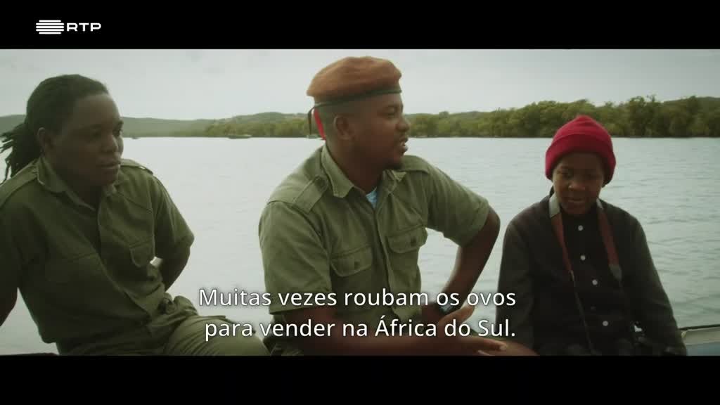 Imagem de A Natureza dos Homens e dos Animais - Vitórias na Terra e no Mar