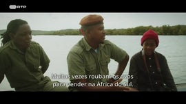 Imagem de Vit�rias na Terra e no Mar