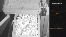 Imagem de Preto no Branco