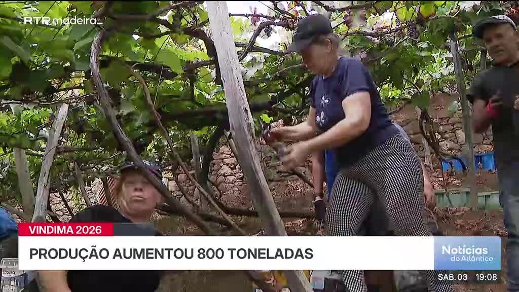 Imagem de Notícias do Atlântico