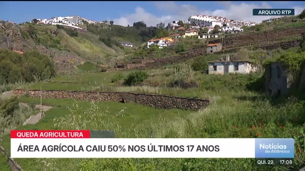 Imagem de Notícias do Atlântico