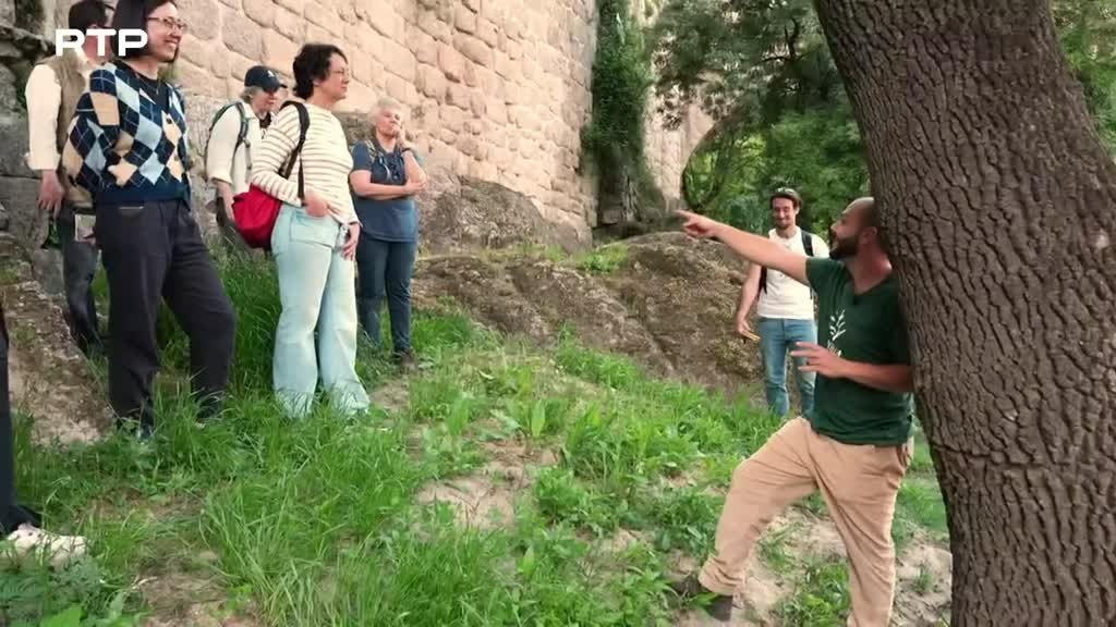 Imagem de Outras Histórias - À Procura dos Gigantes Verdes; O Guardador de Sementes