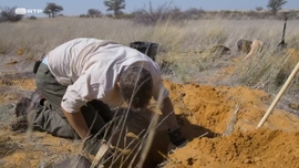 Imagem de As Rainhas da Natureza