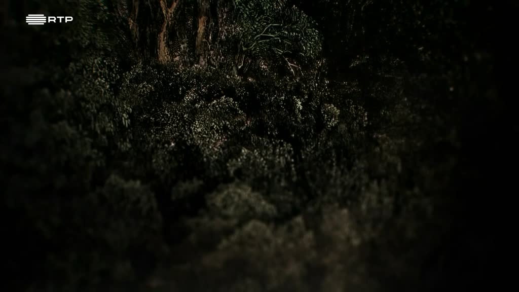 Imagem de Dante: Do Inferno ao Paraíso