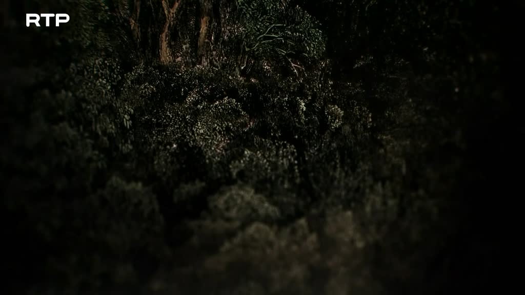 Imagem de Dante: Do Inferno ao Paraíso