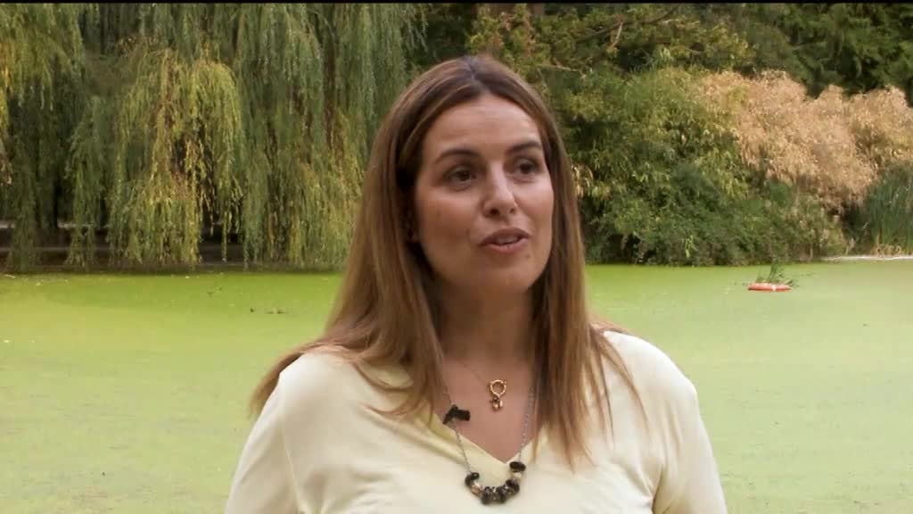 Imagem de Pontos & Cardeais - Vila Pouca de Aguiar