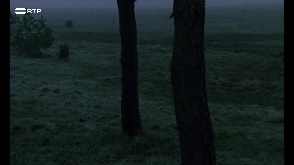 Imagem de O Sacrifício