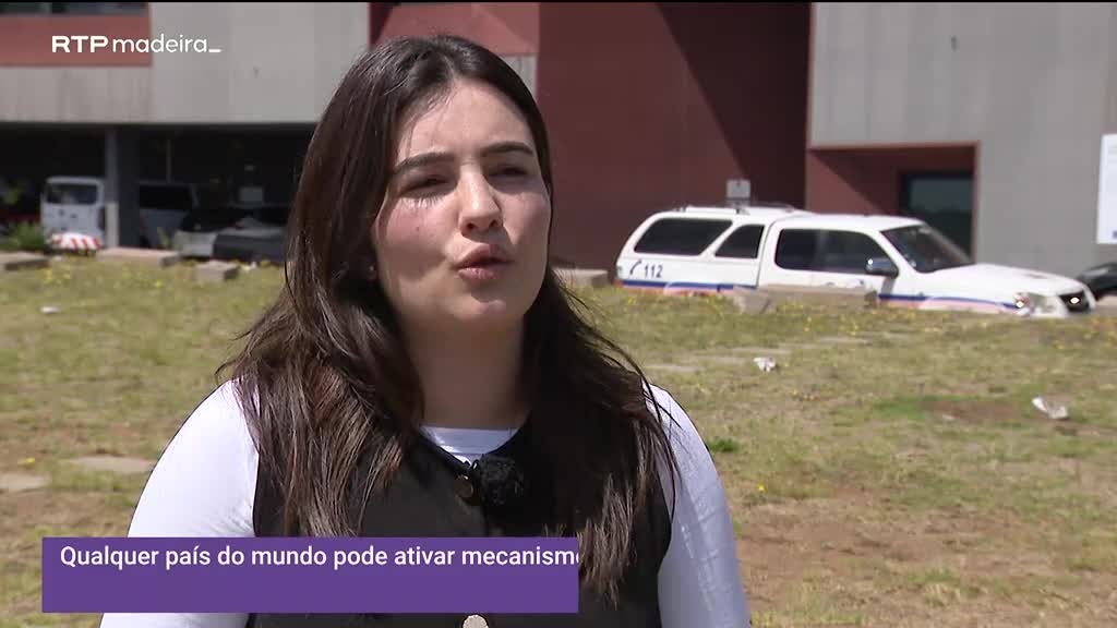 Imagem de Madeira Global