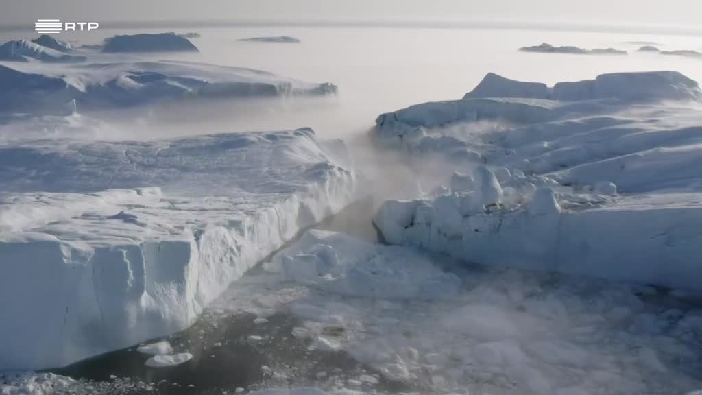 Imagem de Um Planeta Inquieto - Floresta Jurássica