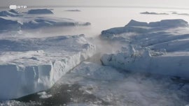 Imagem de Floresta Jur�ssica