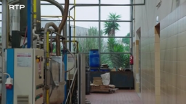 Imagem de Transpar�ncias