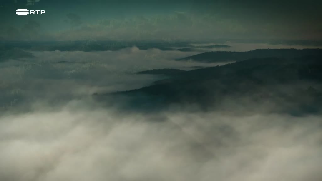 Imagem de A Ilha dos Museus de Berlim: A História