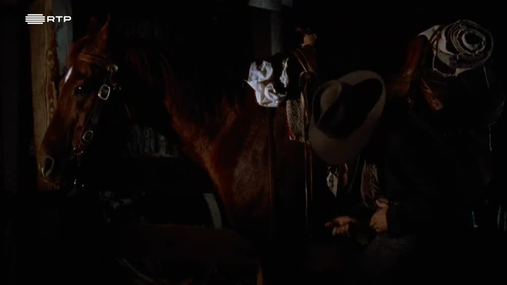 Imagem de Doutora Quinn