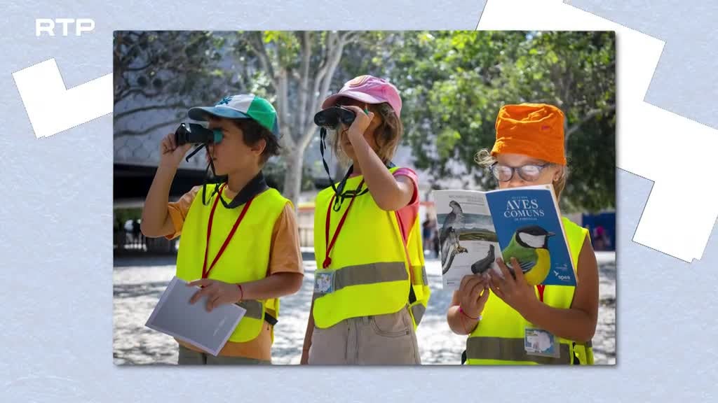 Imagem de Agenda Zigzaguear