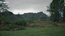 Imagem de Fern�o Lopes: O Renegado