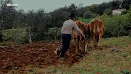 Imagem de O Alentejo em Benfica