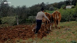Imagem de O Alentejo em Benfica